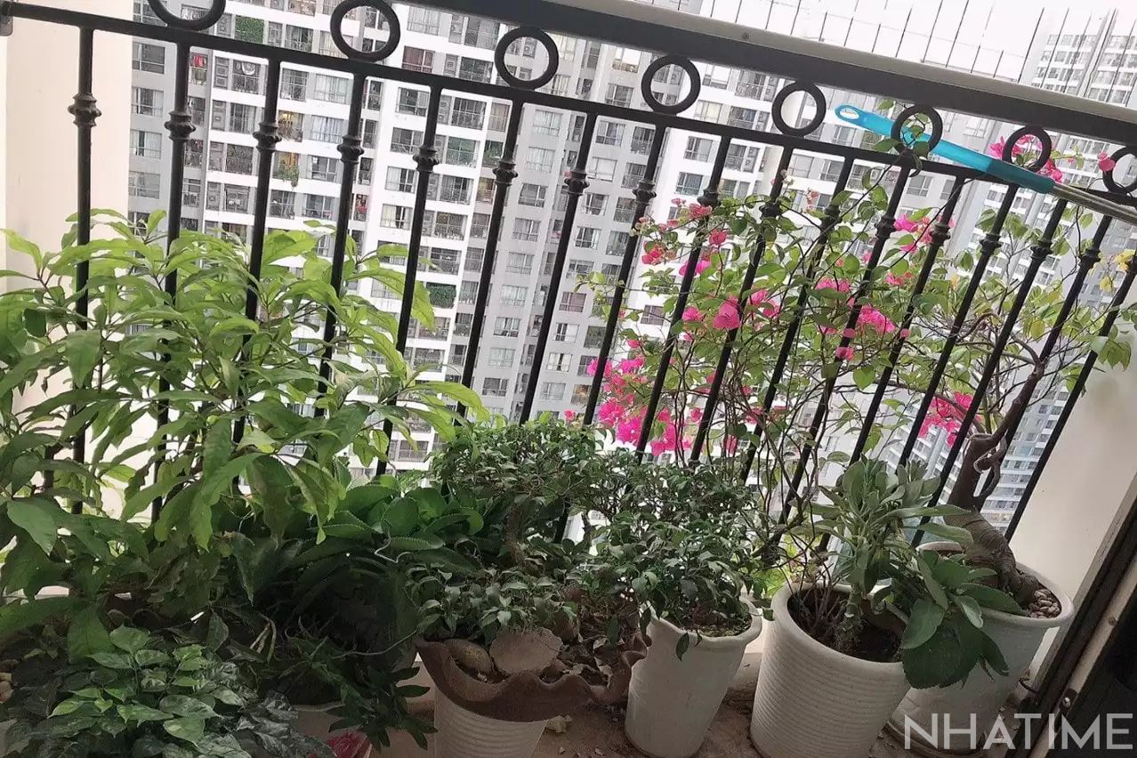 Bán căn hộ chung cư T11 Times City Photo No.6