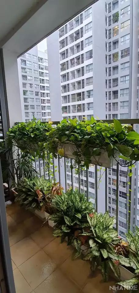 Bán căn hộ chung cư Park 8 Times City Photo No.4