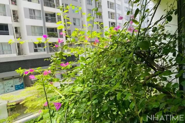 Bán căn hộ chung cư Park 1 Times City Photo No.4