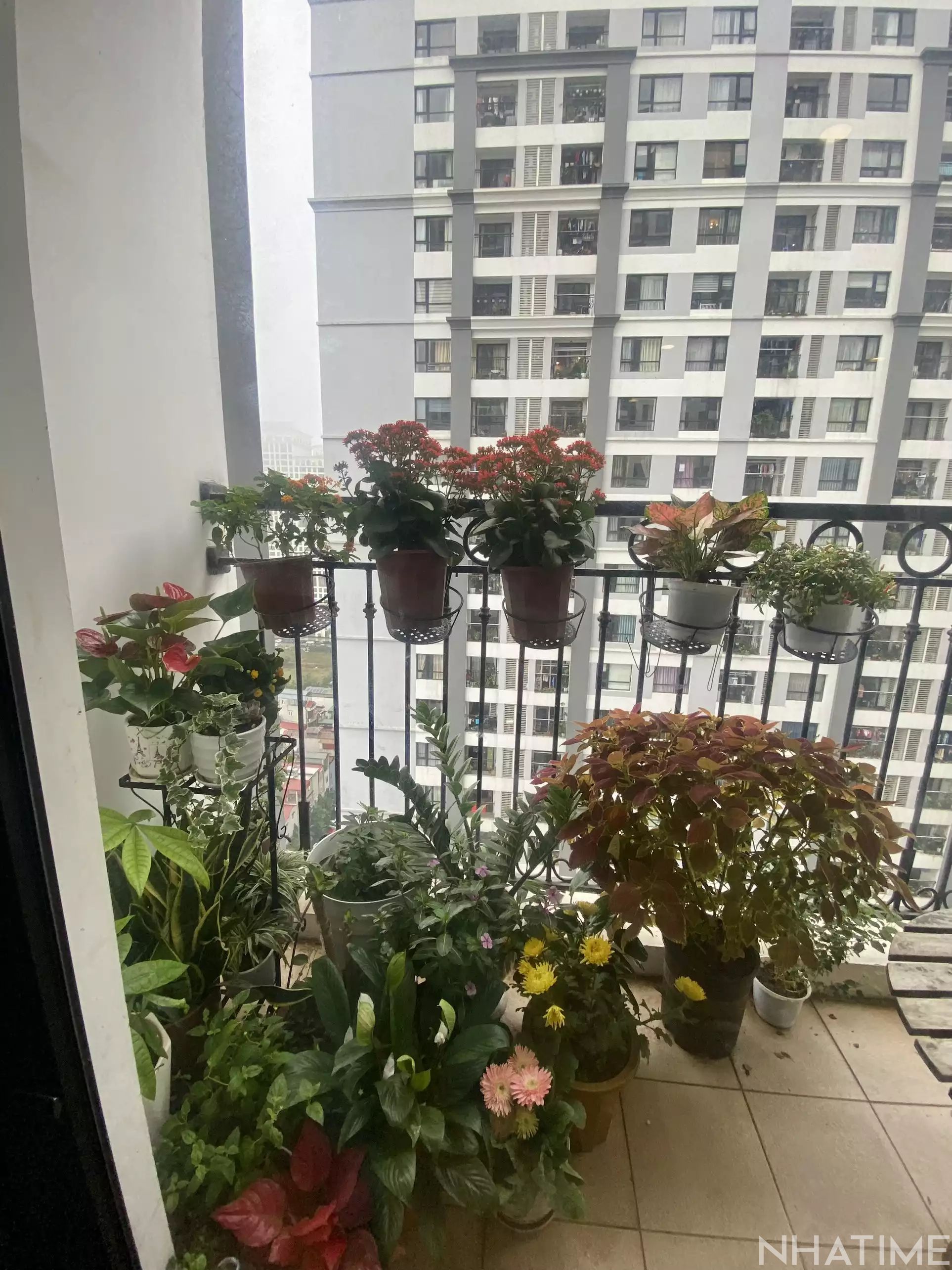 Cho thuê căn hộ T3 Times City tầng 16 Photo No.11