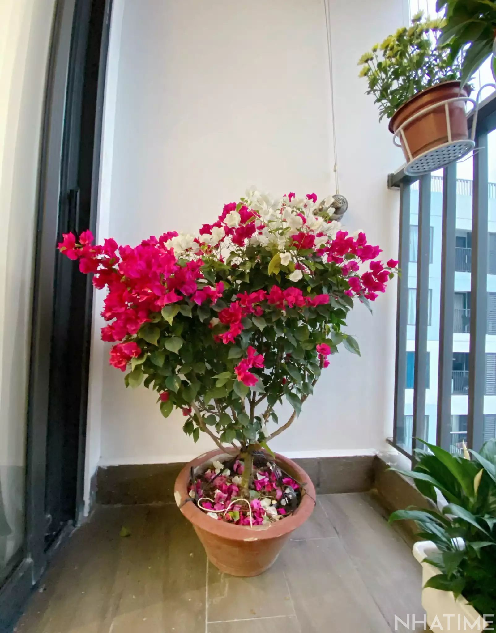 Bán căn hộ D Imperia Sky Garden tầng 20 Photo No.4