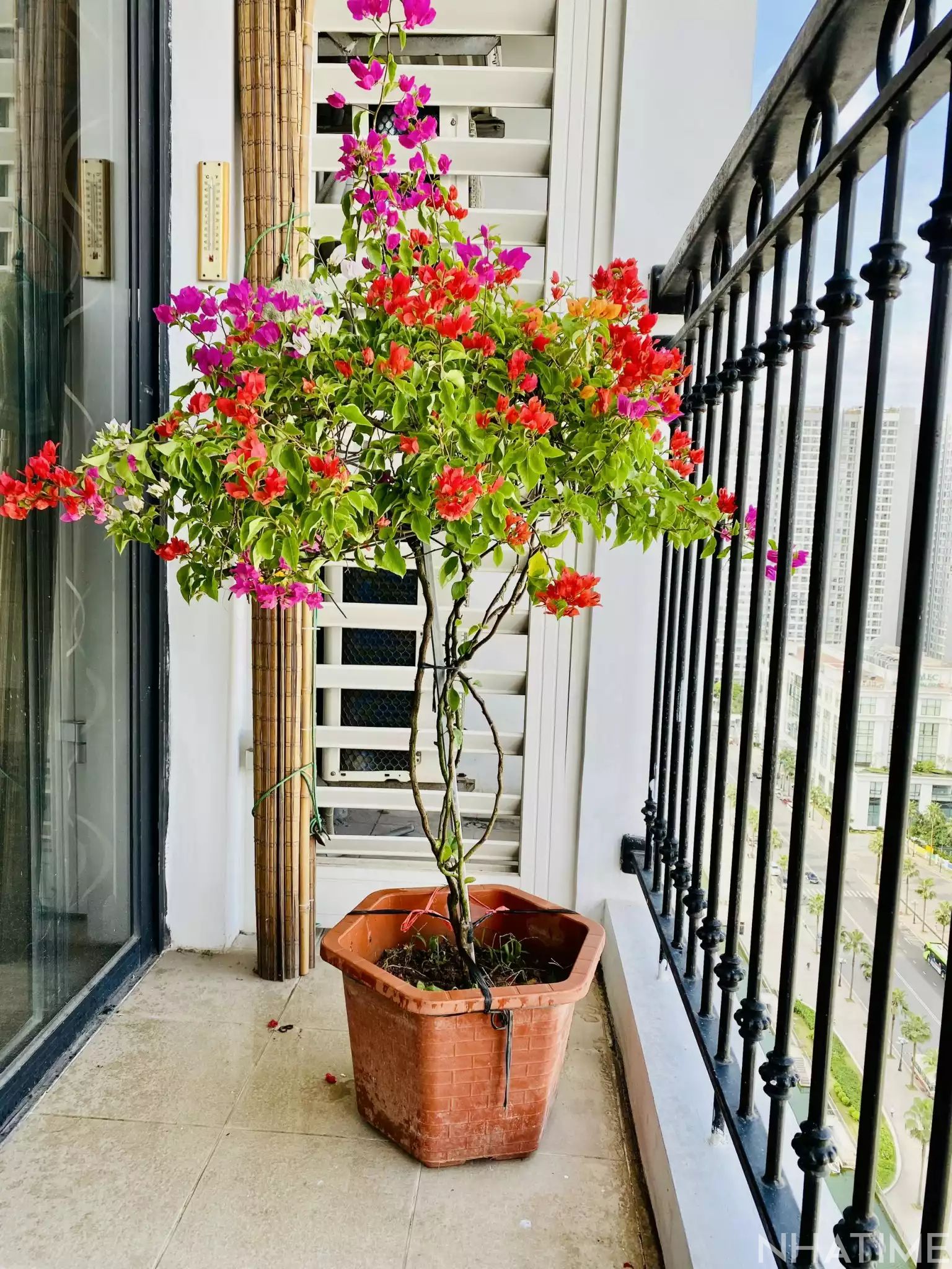 Bán 2Pn đẹp 90m T05 Times City Photo No.17