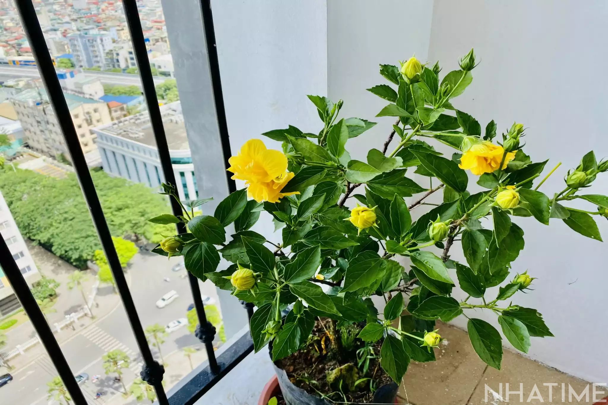 Bán 2Pn đẹp 90m T05 Times City Photo No.18