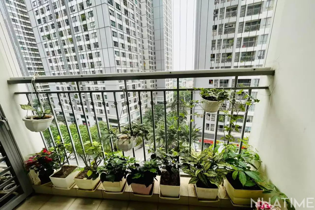 Cho thuê Photo No.5