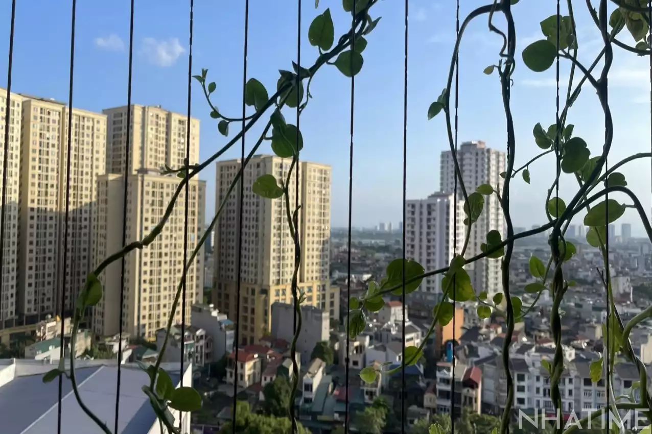 Bán 3Pn P12 Photo No.7