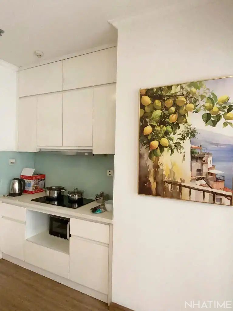 CHO THUÊ 2PN PARK 1 Photo No.5