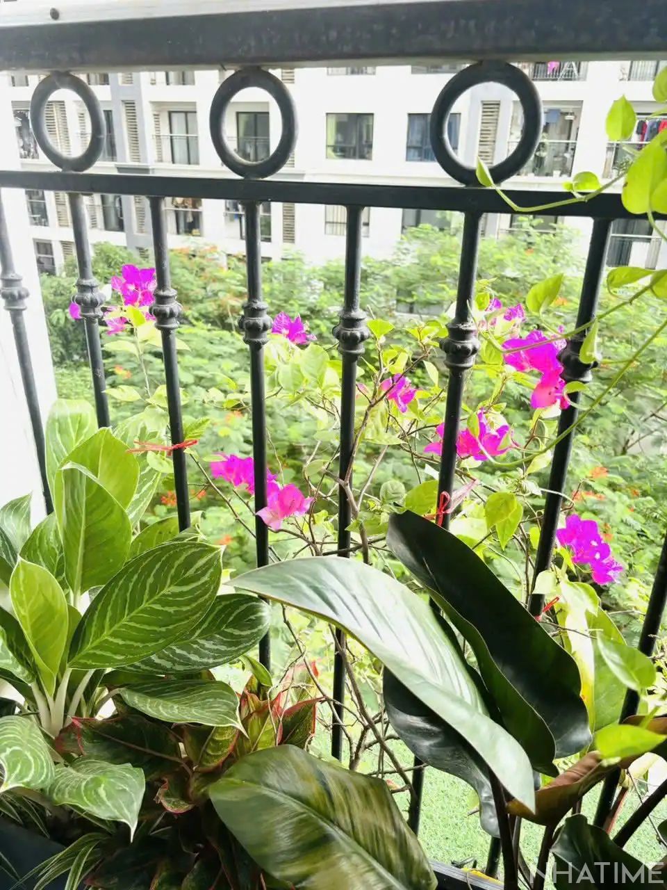 CHO THUÊ 1PN T09 Photo No.6