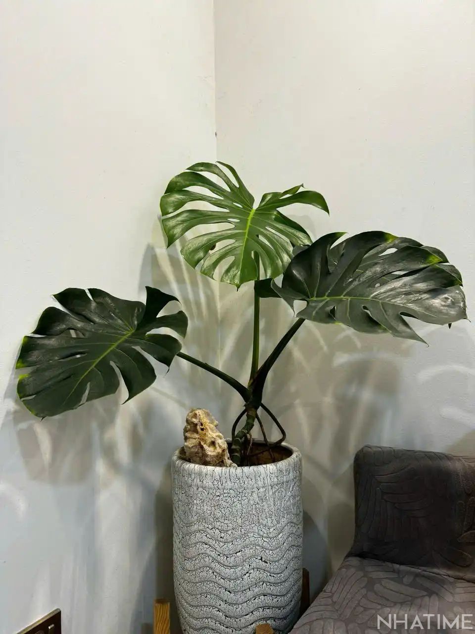 BÁN CĂN 3PN P12 119M2 GIÁ 10,5 TỶ Photo No.3