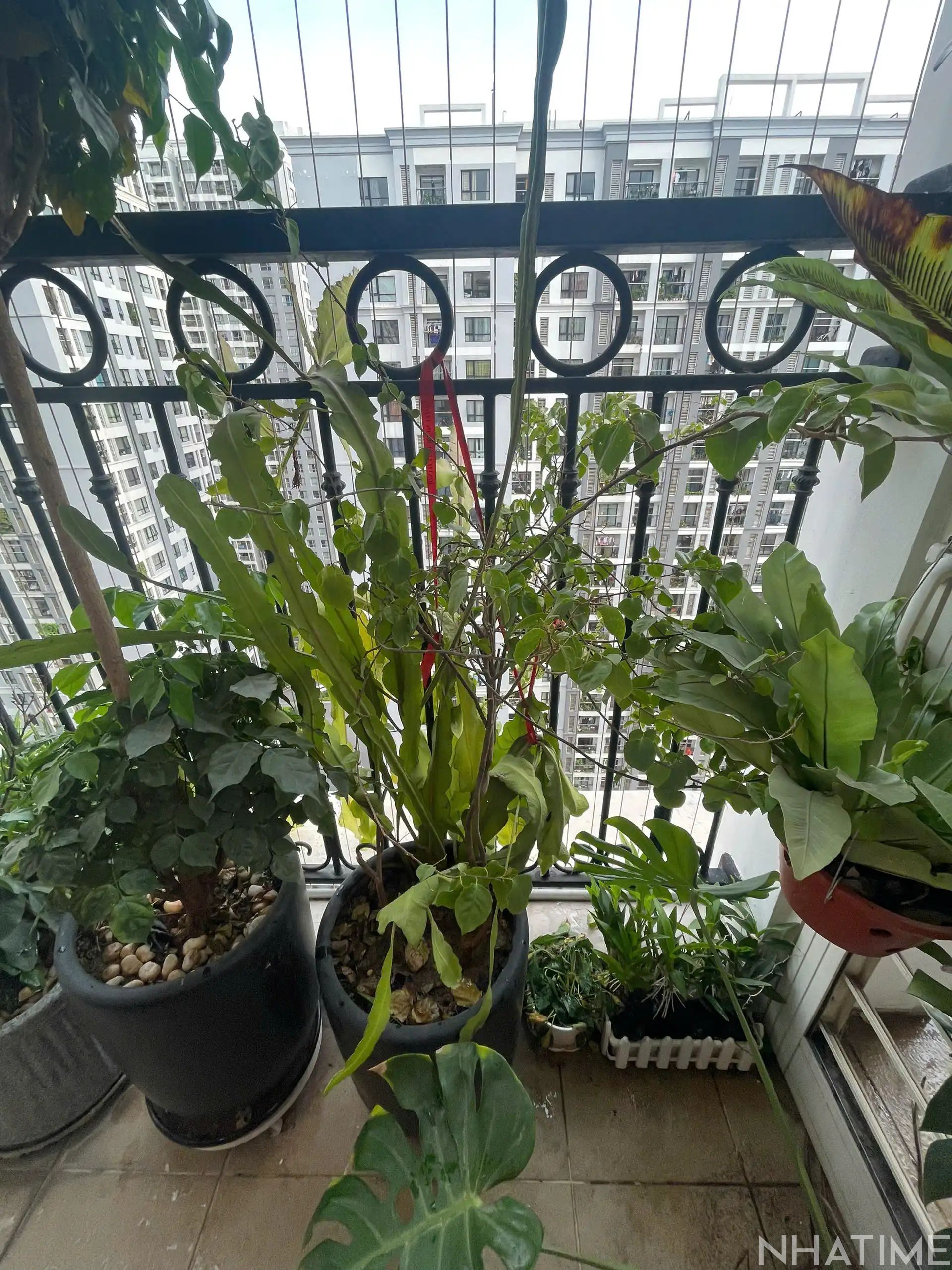 BÁN CĂN 2PN 80M2 T10 GIÁ 8,6 TỶ Photo No.11