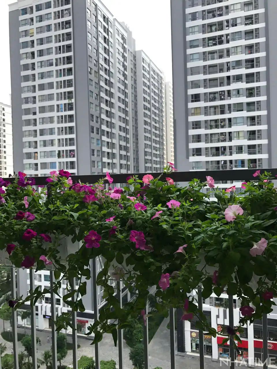 CHO THUÊ 2PN PARK 11 Photo No.7