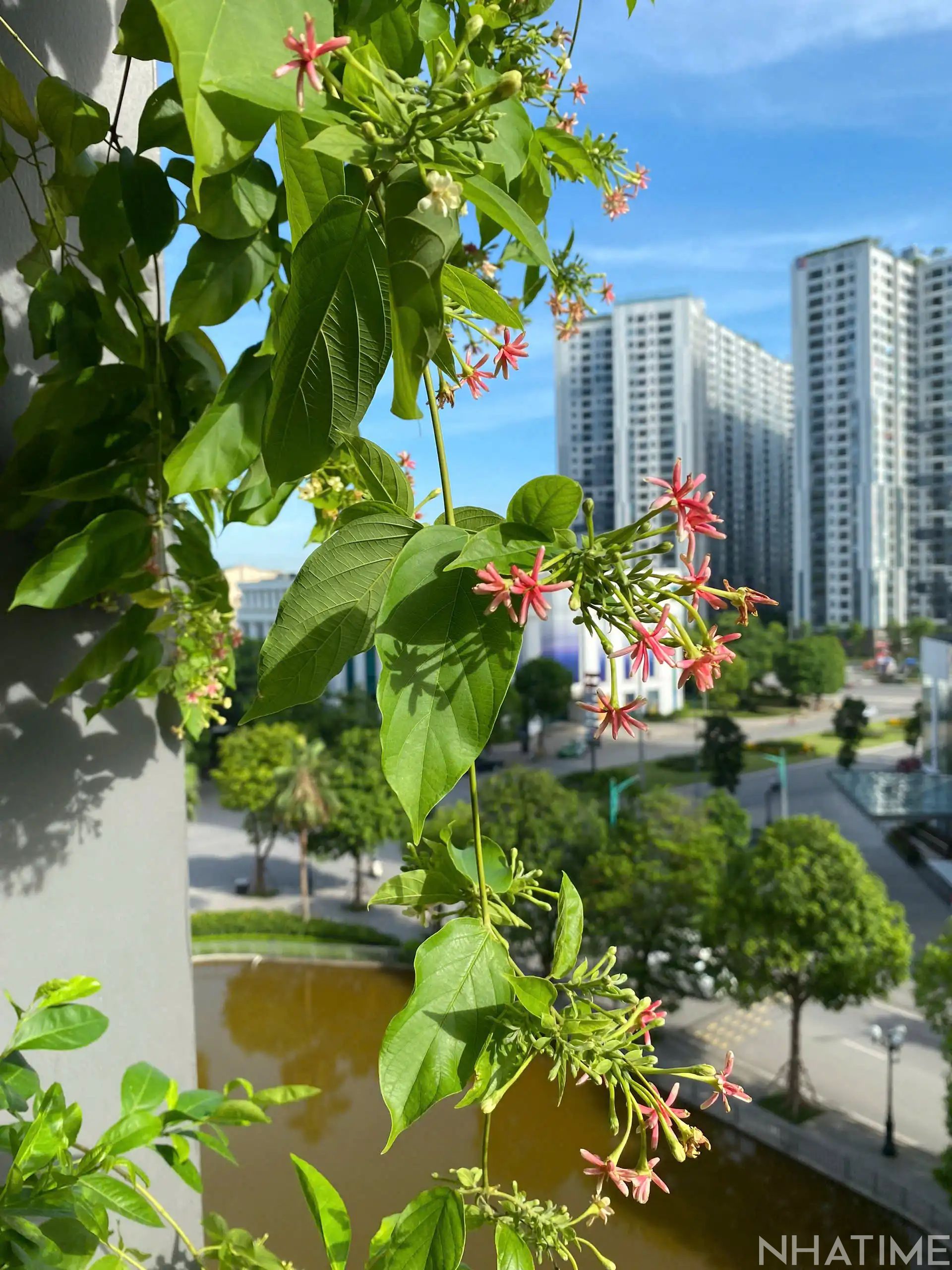 BÁN CĂN 3PN 110M2 T5 GIÁ 16 TỶ CÓ SLOT Ô TÔ Photo No.5