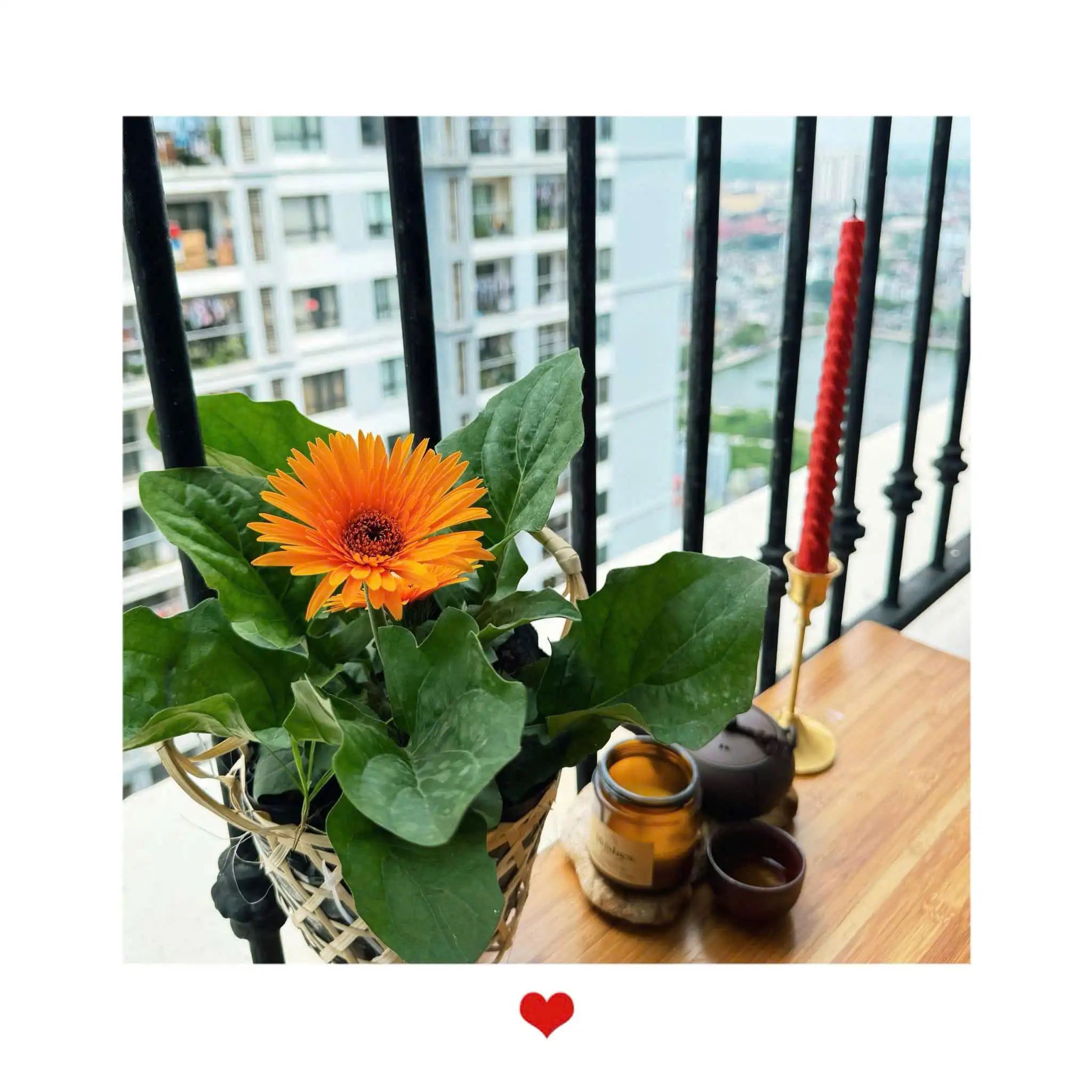 CHO THUÊ CĂN 1PN 53M2 T9 GIÁ 12,5TR Photo No.3