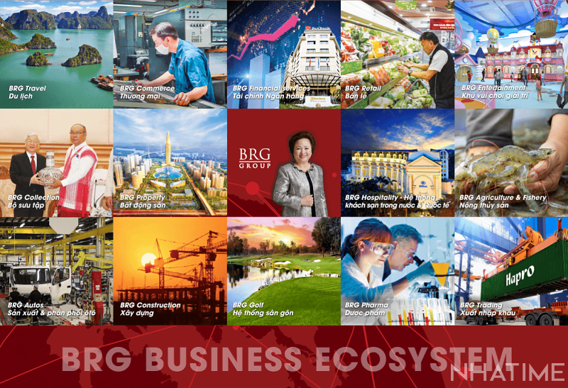 Các lĩnh vực BRG đang hoạt động